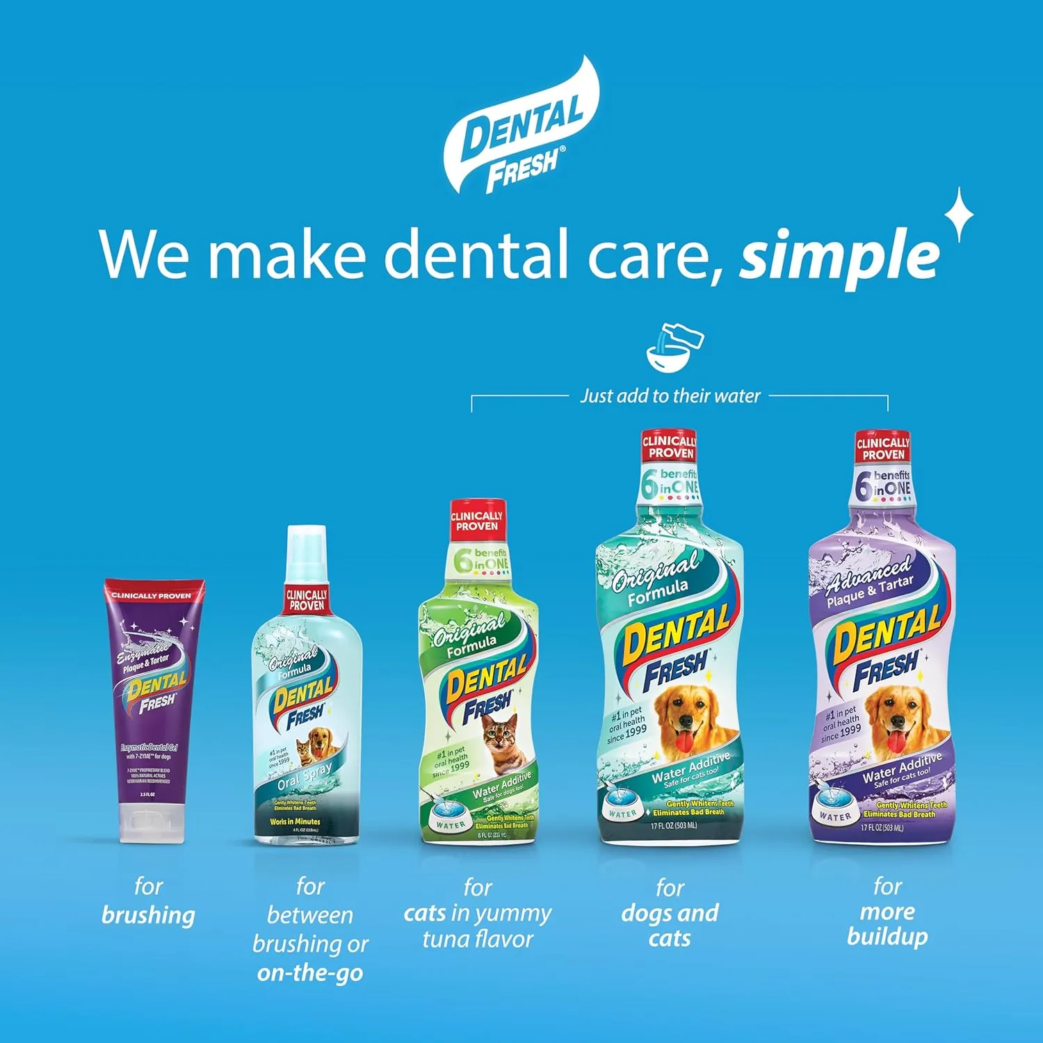 Contact Dental Fresh